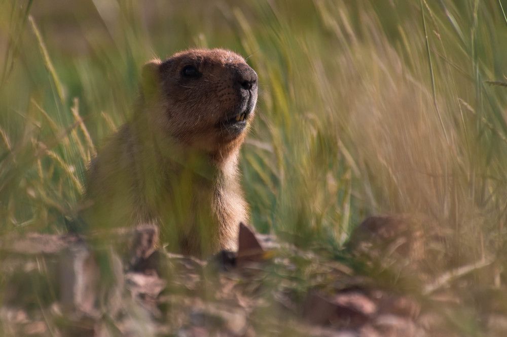 Photograph by Елена Прохорова