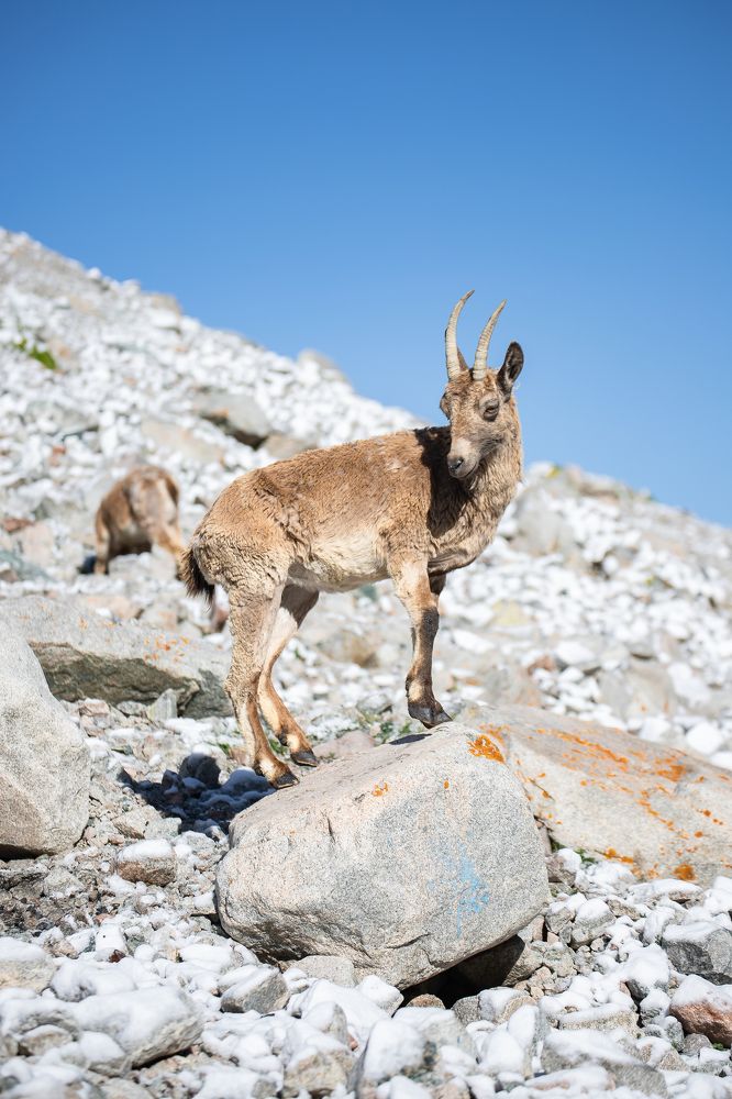 Photograph by Василий Бережной