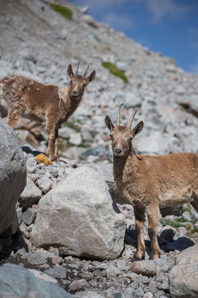 Photograph by Василий Бережной