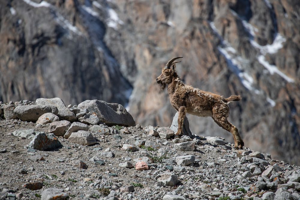 Photograph by Василий Бережной