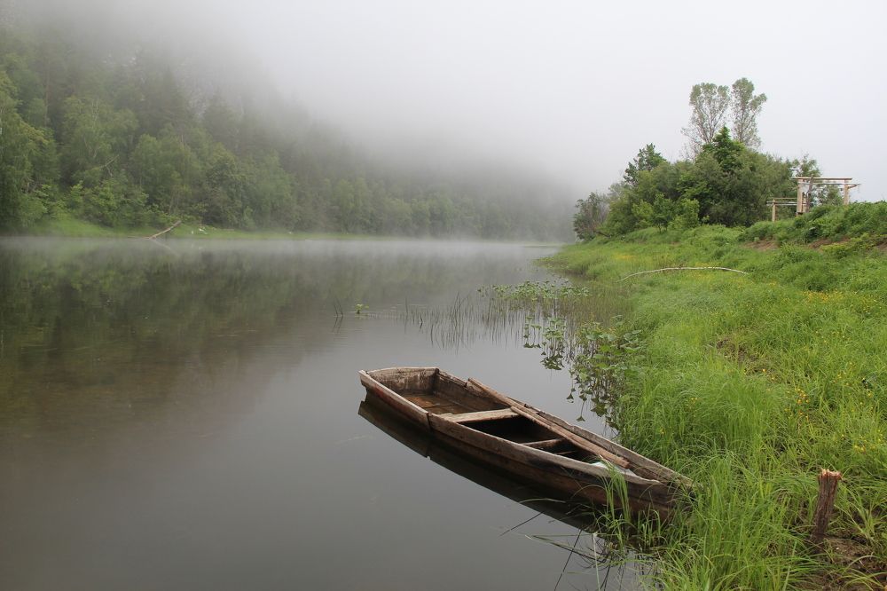 Хмурое утро