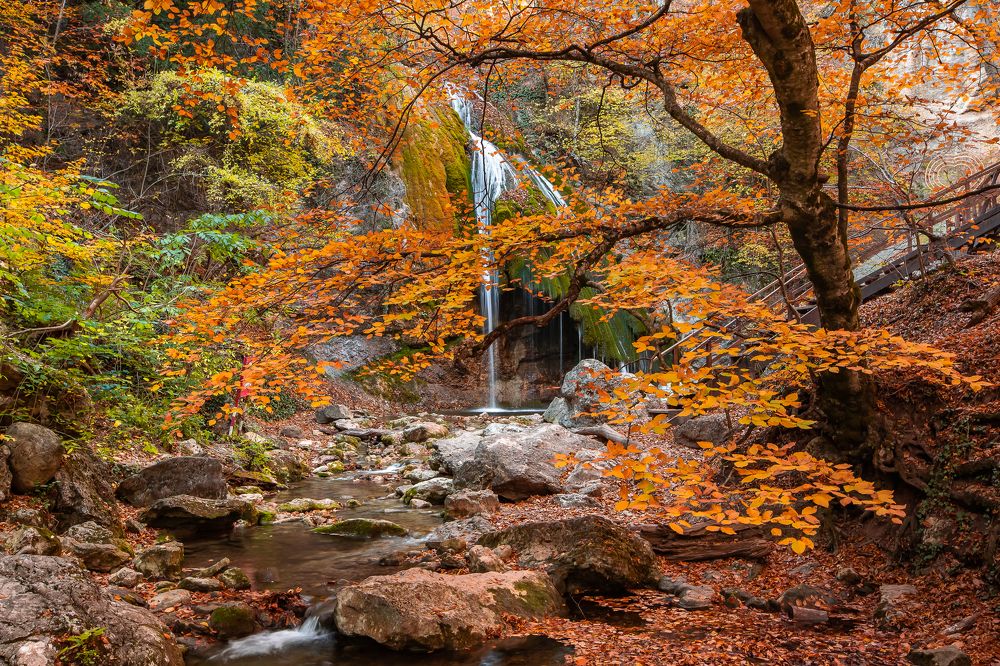 Photograph by Василий Бережной