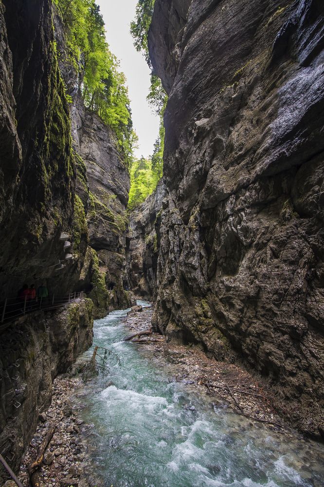 Фотография автора Marina Starovoyt