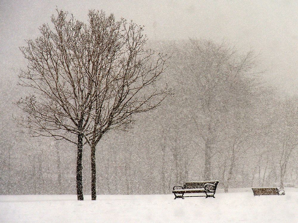 Photograph by Bekir Yesiltas