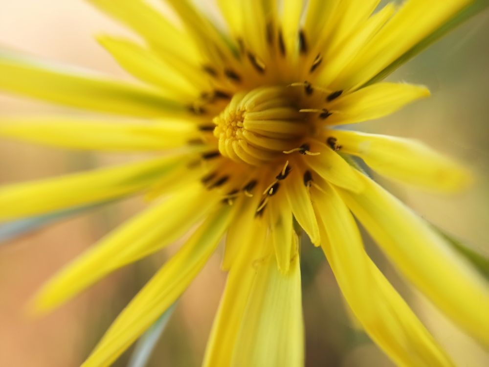 Фотография автора Татьяна Долгушева