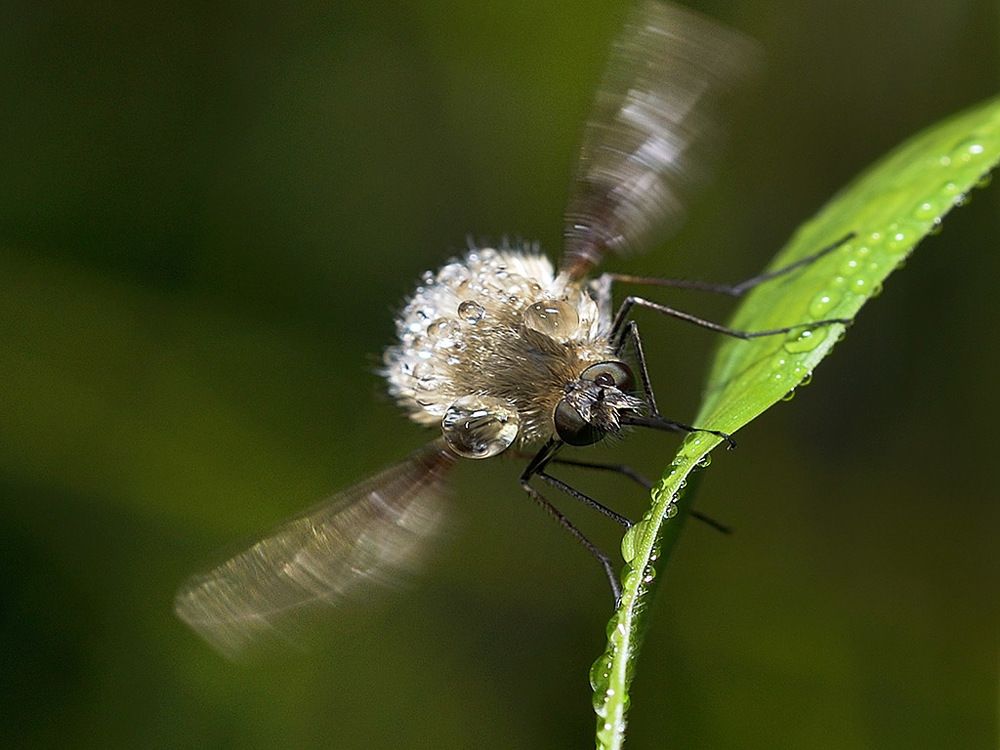 Photograph by Bekir Yesiltas