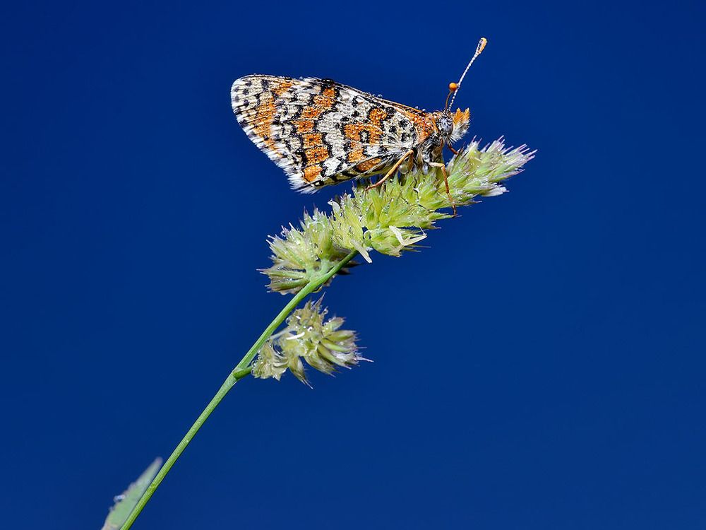 Photograph by Bekir Yesiltas