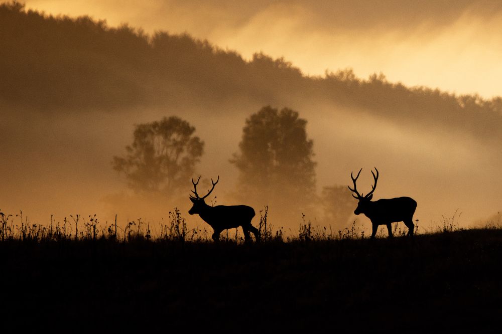 Photograph by Adrian Czech