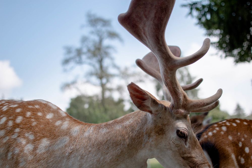 Photograph by Liubov Holmer