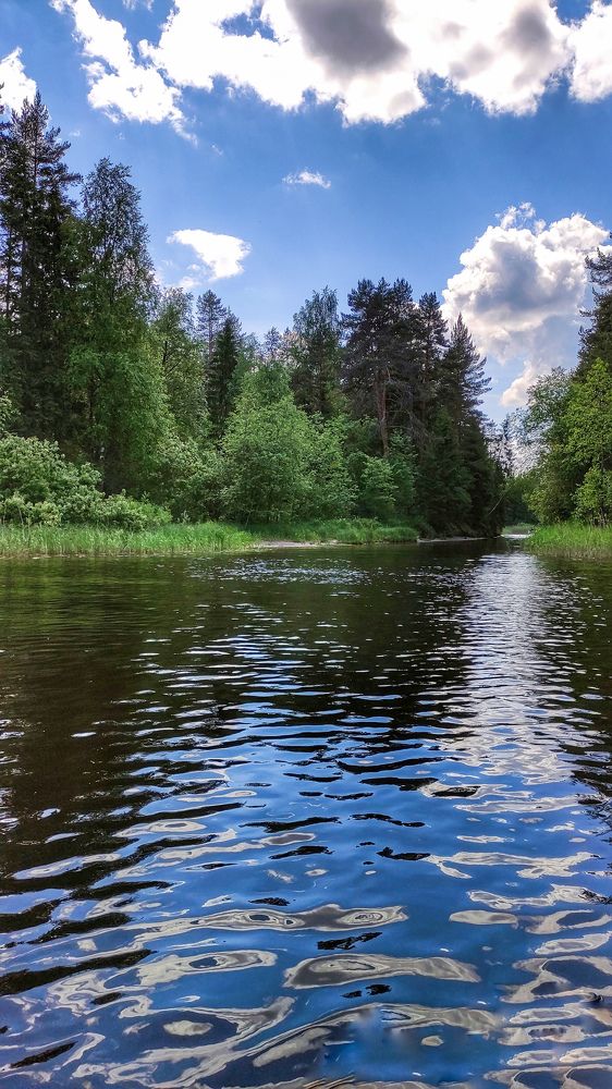 Photograph by Екатерина Романова