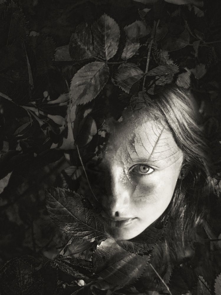 Photograph by Любовь Тарасюк