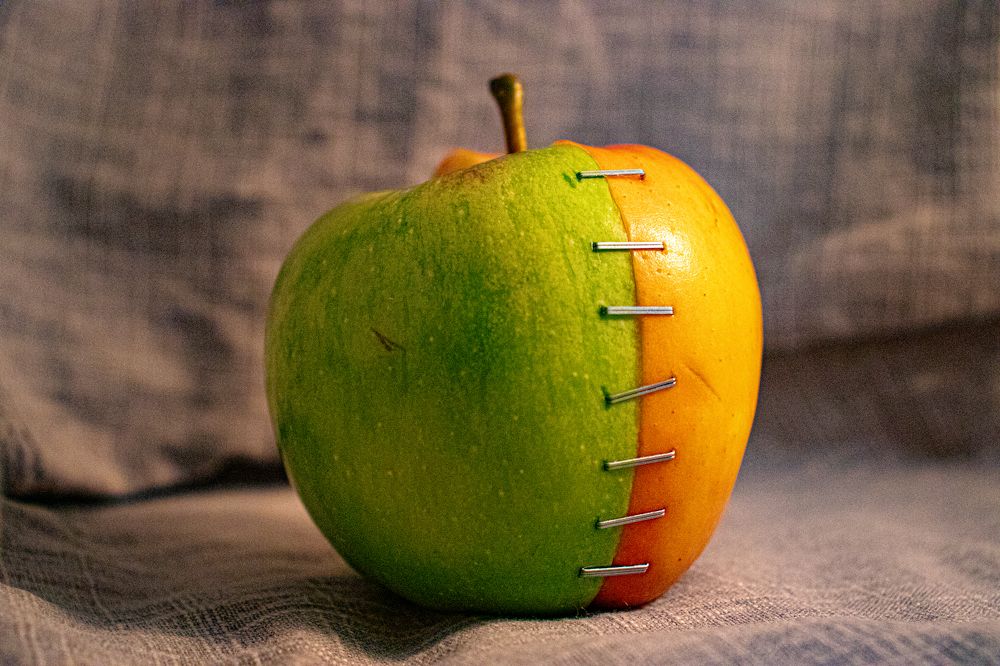 Photograph by Михаил Штефан