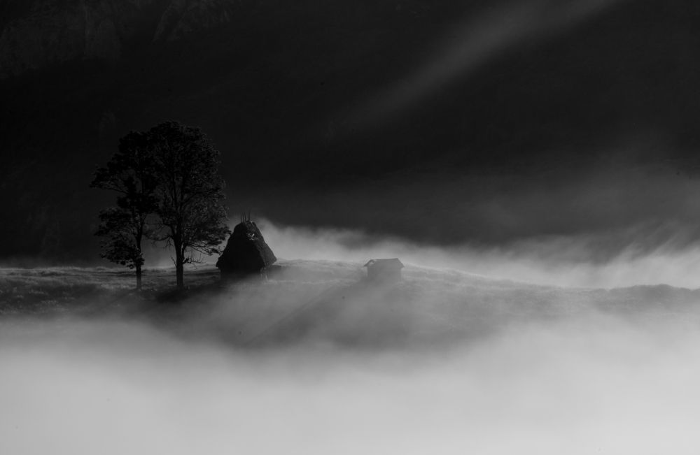 Фотография автора Iulian Vieru