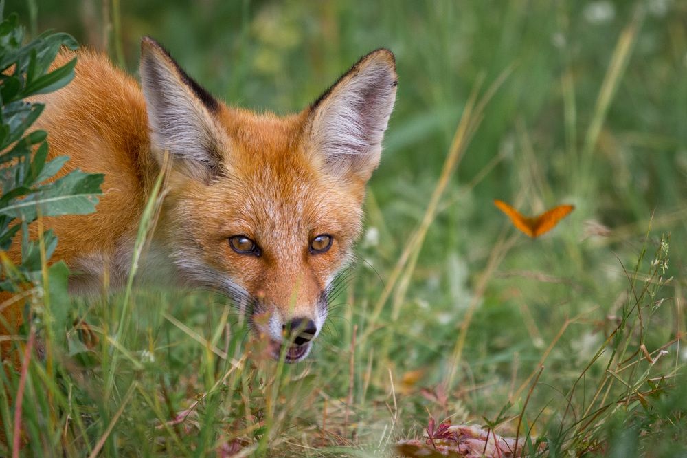 Photograph by Артем