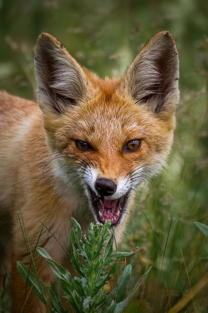 Photograph by Артем