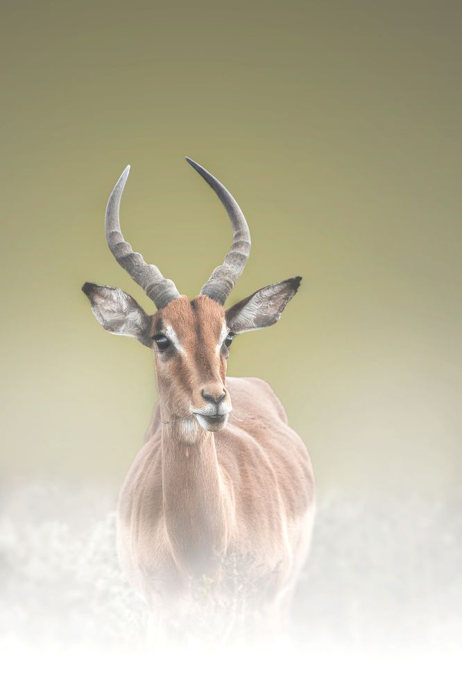 Фотография автора Melanie Delamare