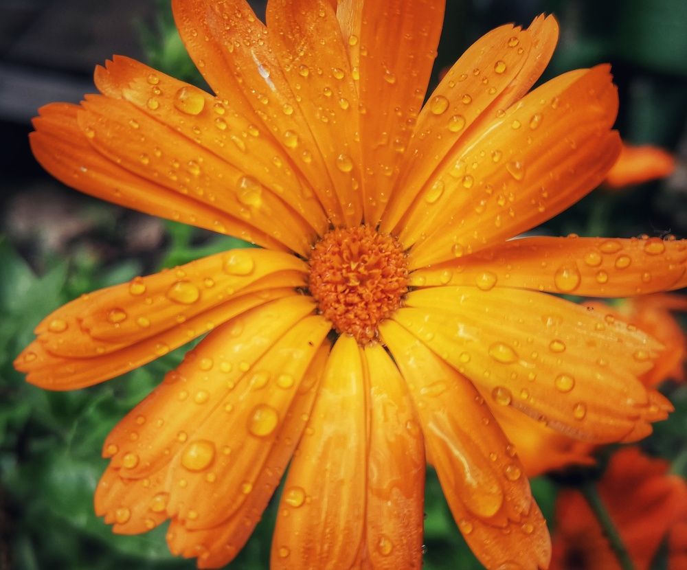 Photograph by Ralica Kitova