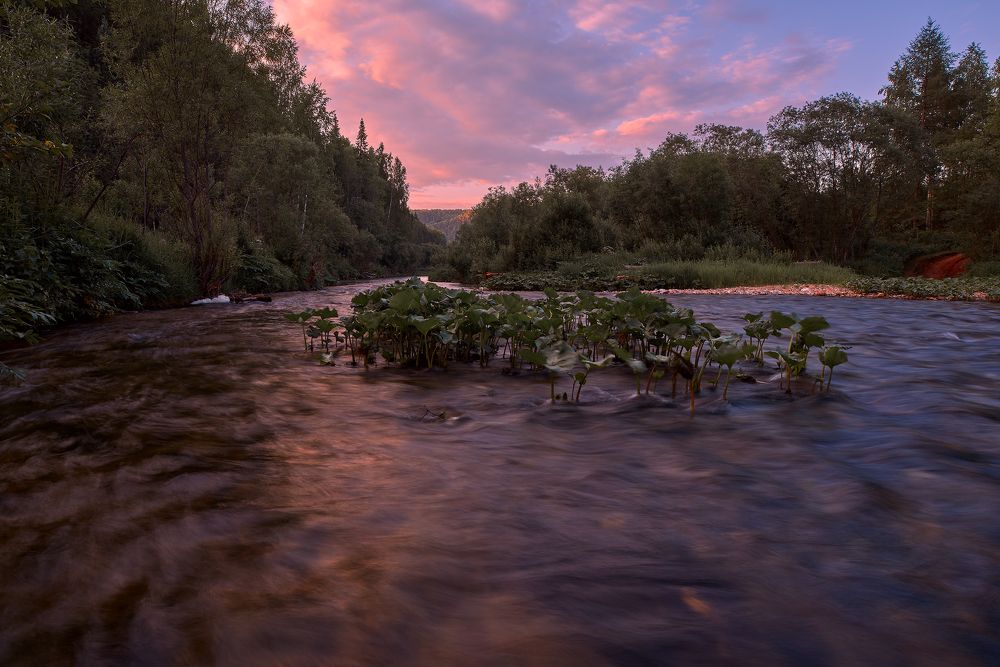 Photograph by Сергей Скоробогатов