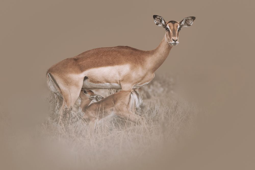 Photograph by Melanie Delamare