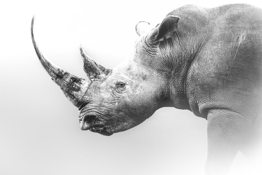 Photograph by Melanie Delamare