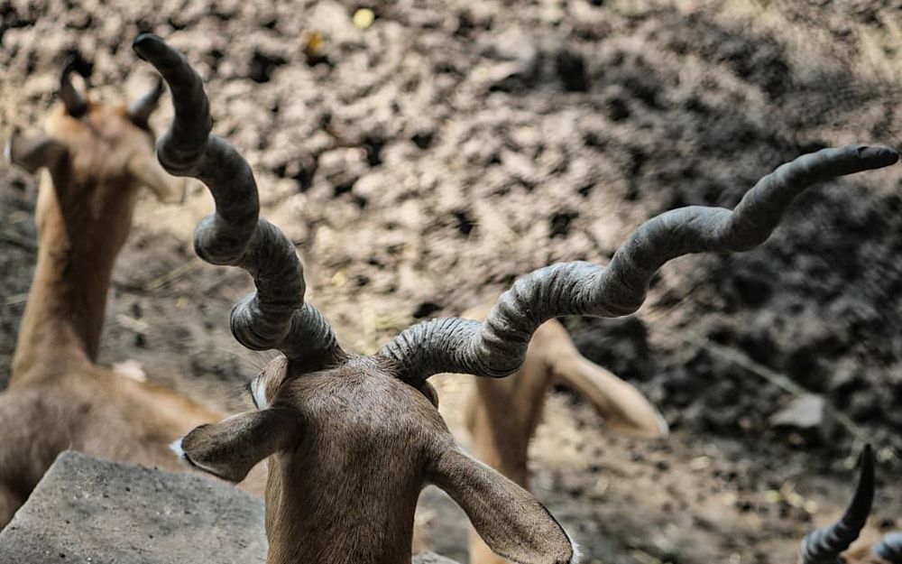 Photograph by Yash Sadawana