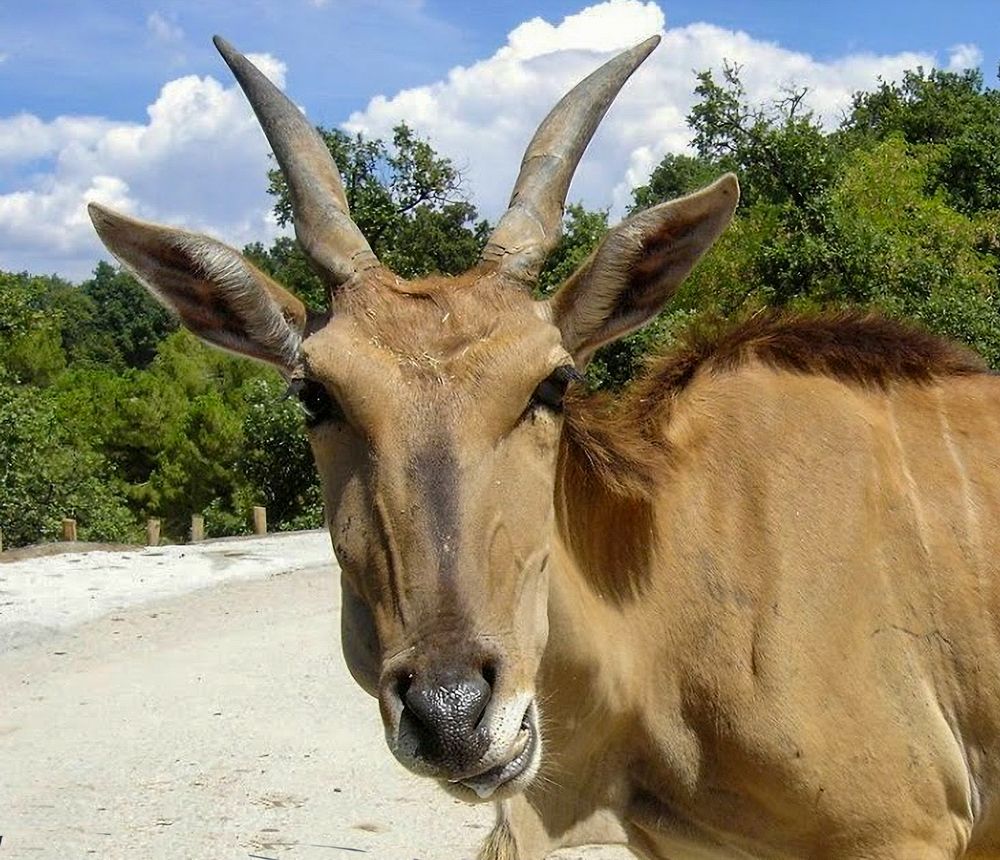 Photograph by Epp Tappel