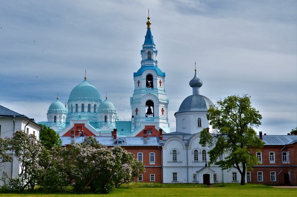 Photograph by Ольга Шевцова