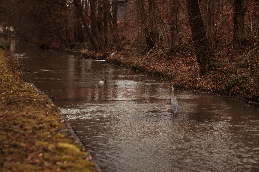 Photograph by Jana Smirnova