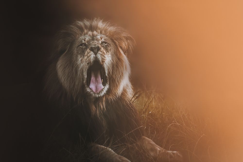 Photograph by Melanie Delamare