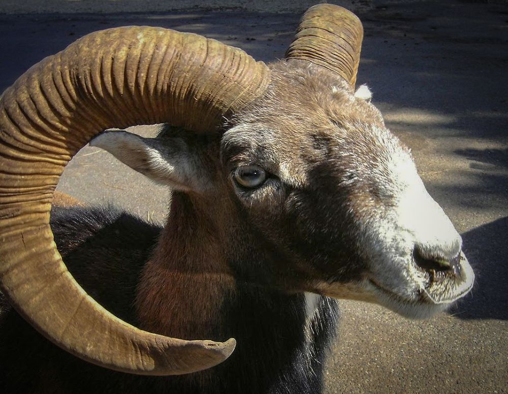 Photograph by Epp Tappel