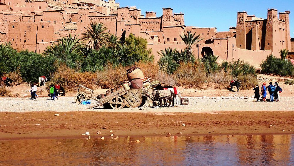 Photograph by Caius Timar