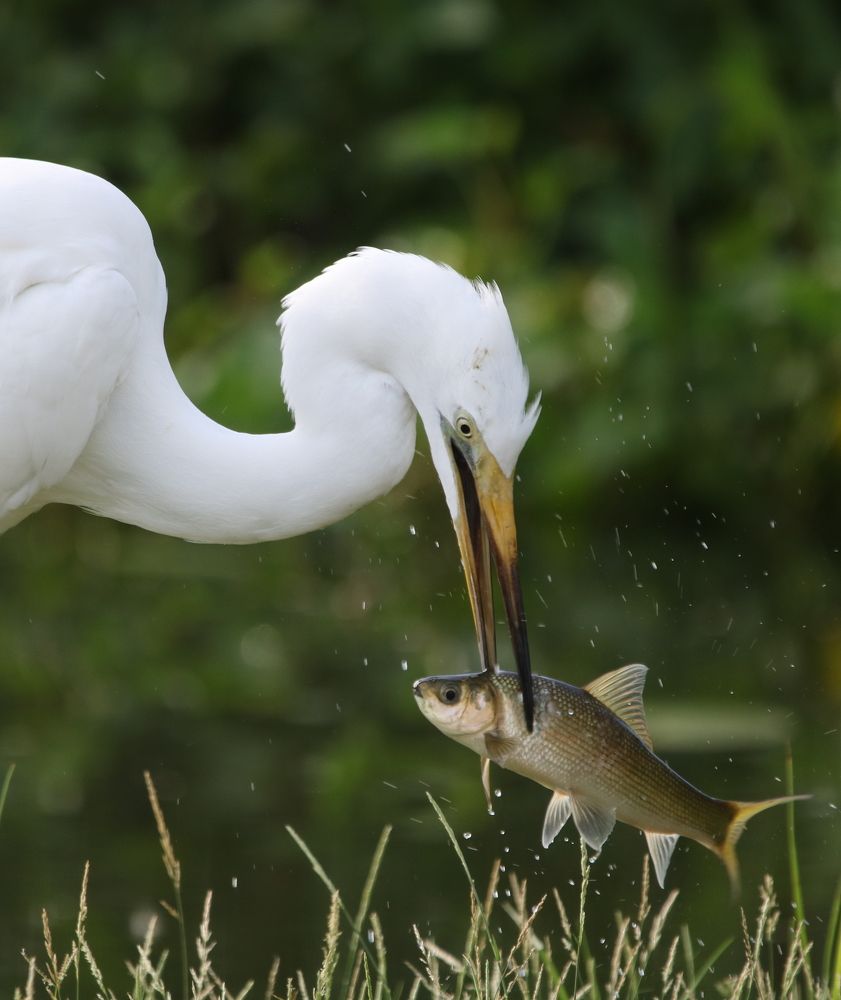 Photograph by Vyom Vyas