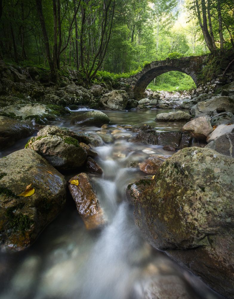 Photograph by Paolo Gabriele Maiero