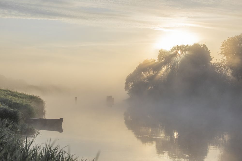 Удочки у всех готовы?