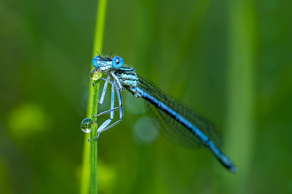 Photograph by Beno Medic