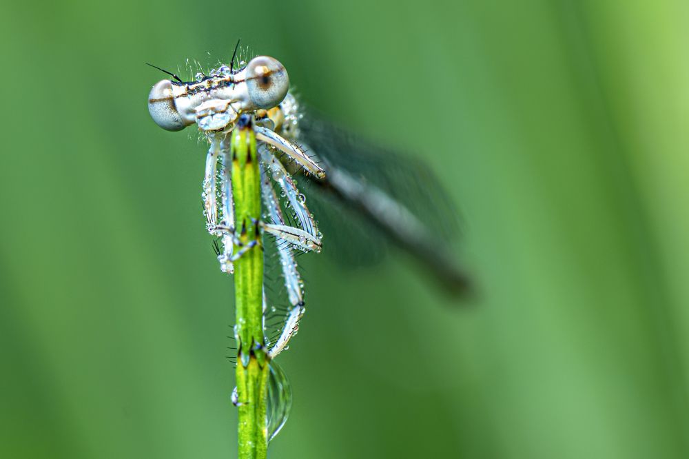 Photograph by Beno Medic