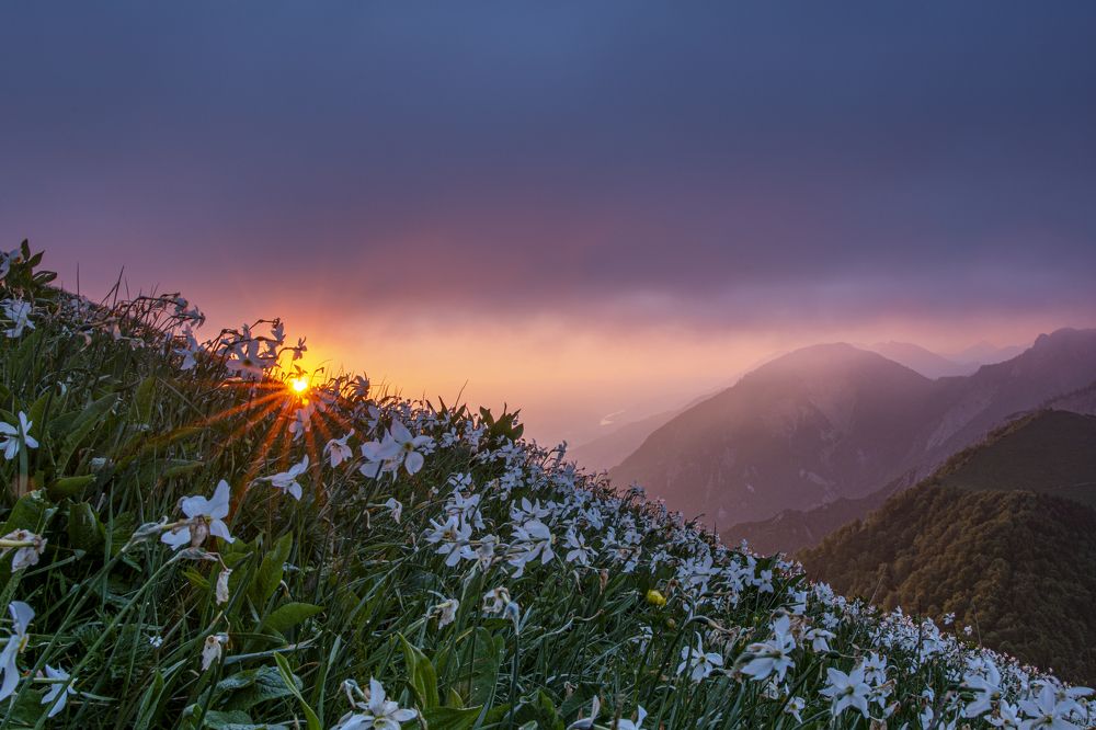 Photograph by Beno Medic