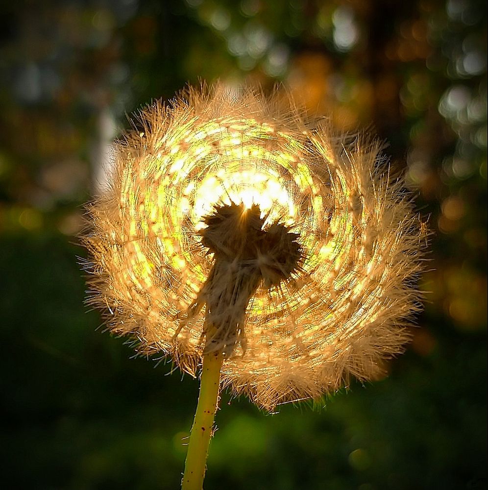 Photograph by Epp Tappel