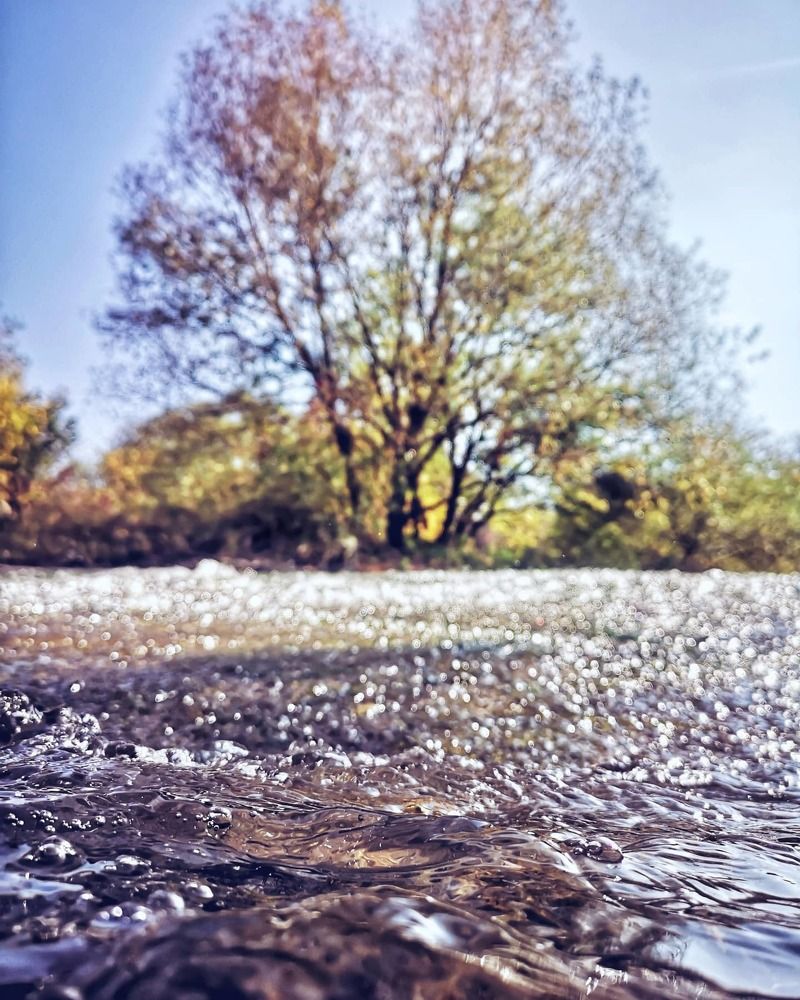 Photograph by Иван Локманов