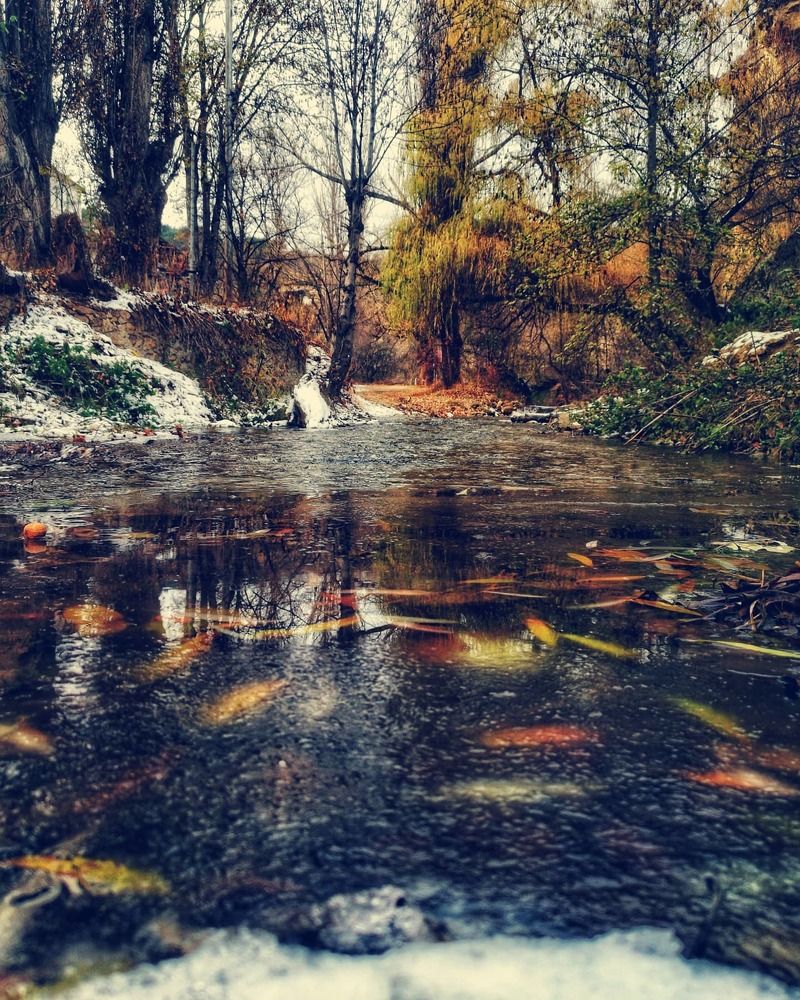 Photograph by Иван Локманов