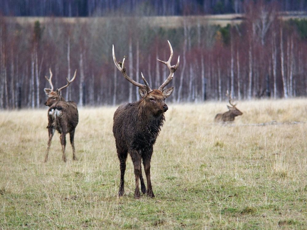 Скоро зима...