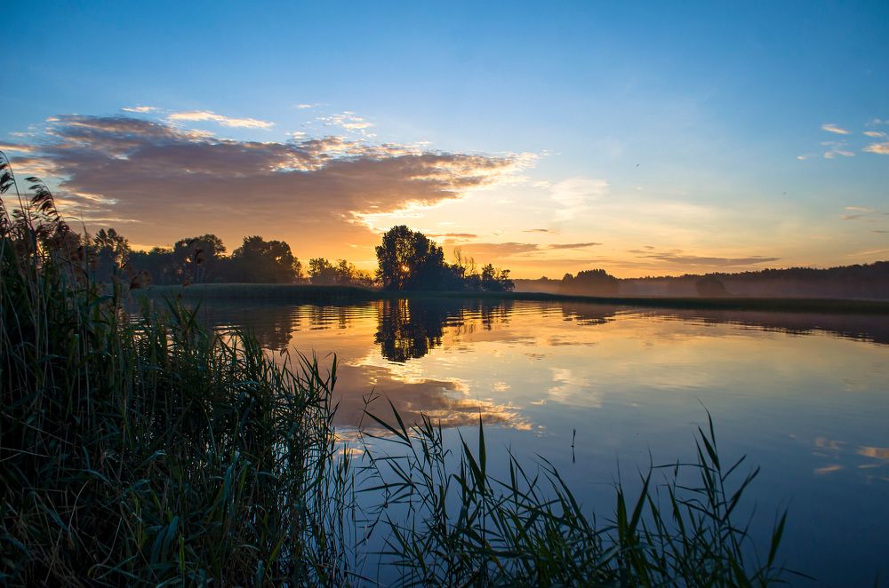 Photograph by Светлана Болотнова