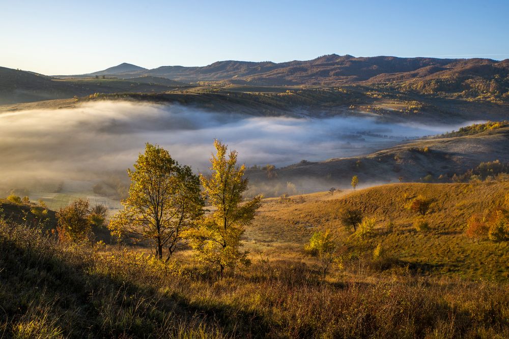 Photograph by Gelu Scurtu