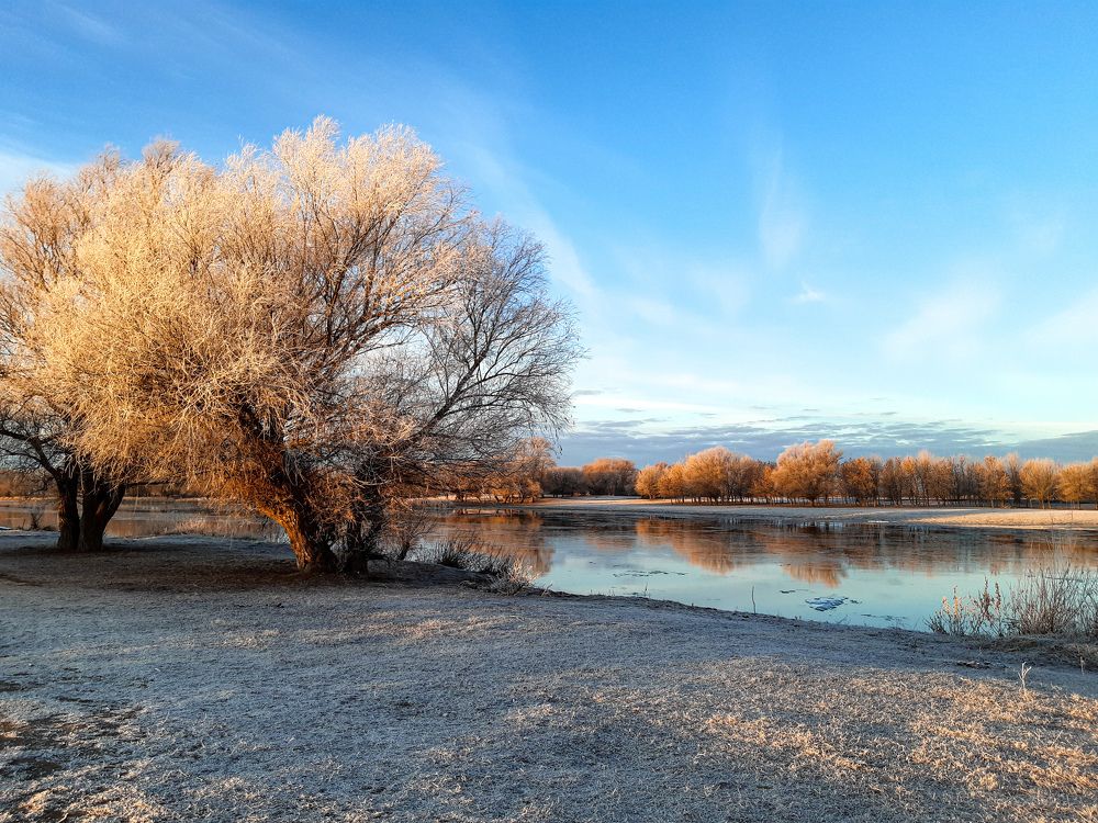 Photograph by Марина Шаповаленко