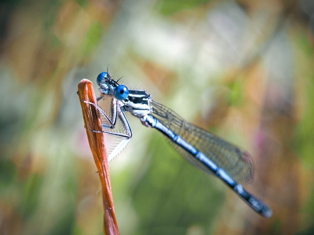 Photograph by Юлия Иванова