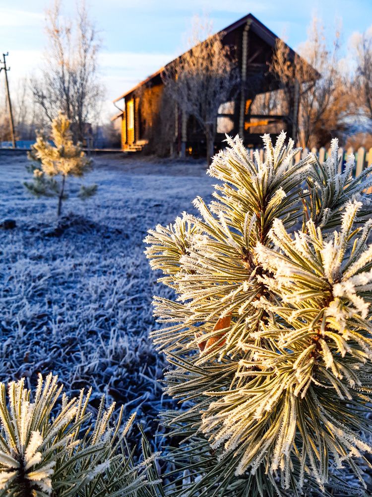 Photograph by Марина Шаповаленко