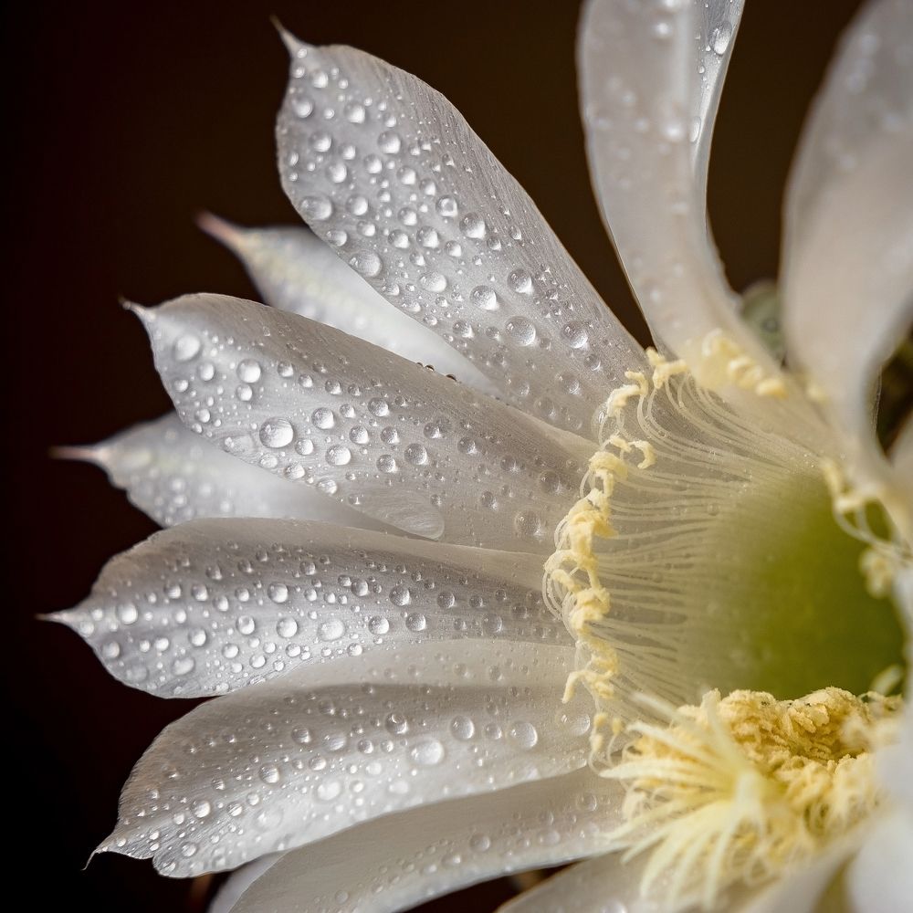 Photograph by Рогалева Анна Викторовна