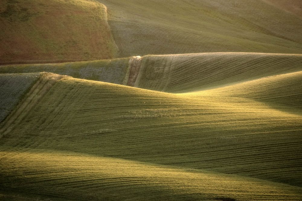 sinuosita' della terra Molisana