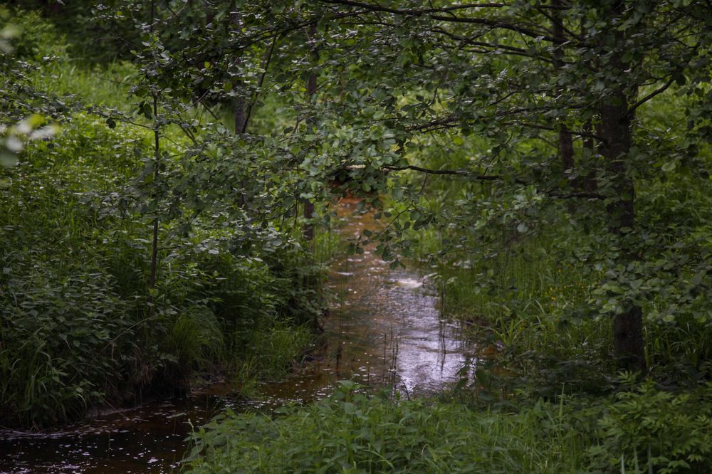 Photograph by Екатерина Шилина