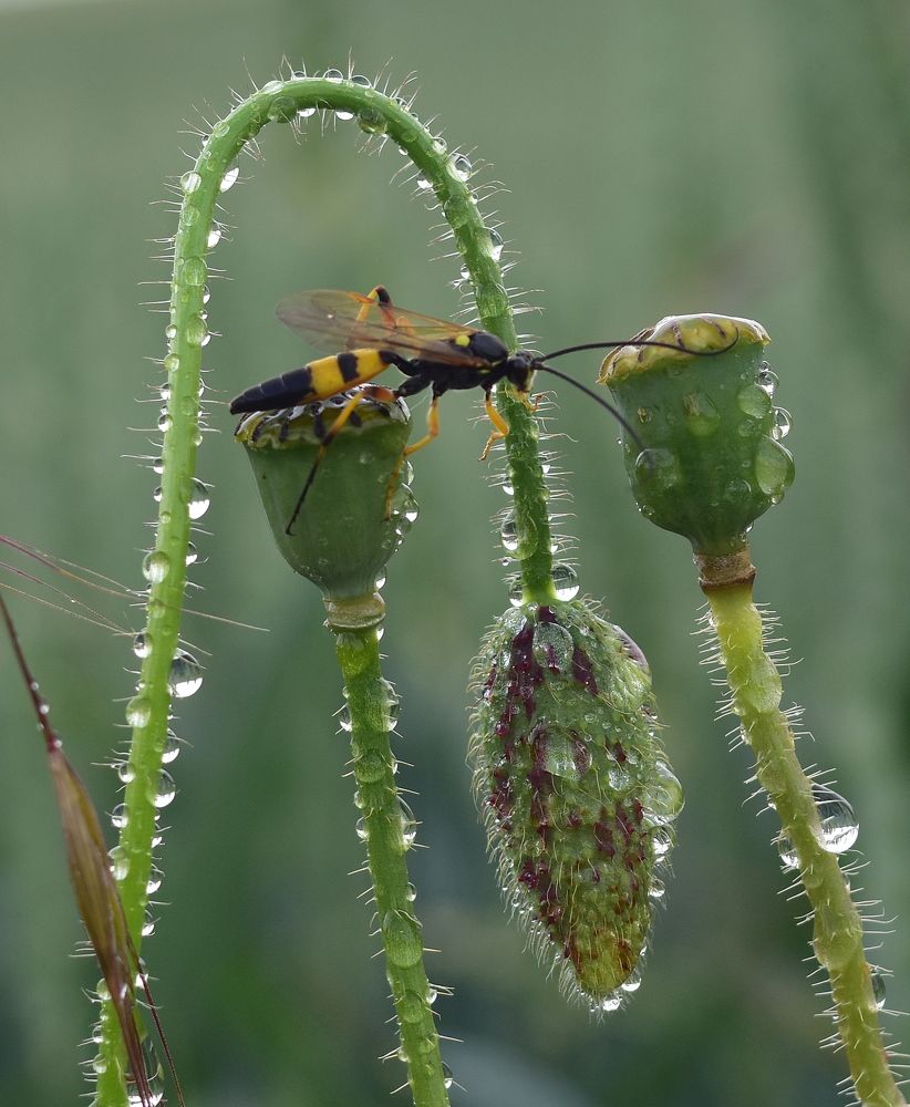 Photograph by Vitalii Kaznin